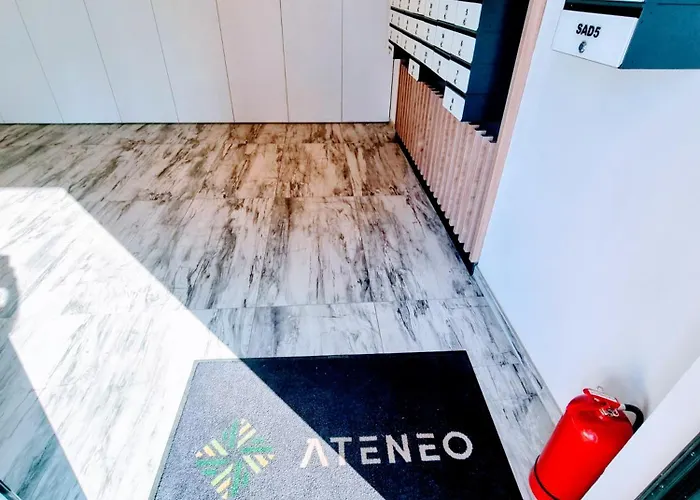 Ateneo * 蒂米什瓦拉