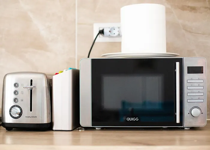 Ateneo 蒂米什瓦拉